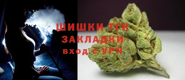 тгк Кукмор