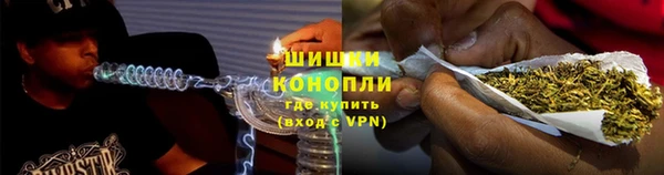 индика Лагань