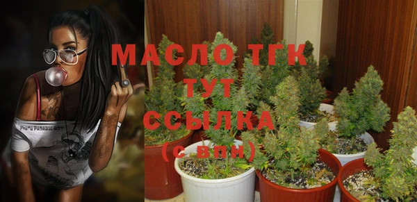 тгк Кукмор
