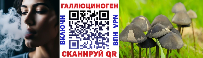 Галлюциногенные грибы Cubensis  Купить где  Ликино-Дулёво 